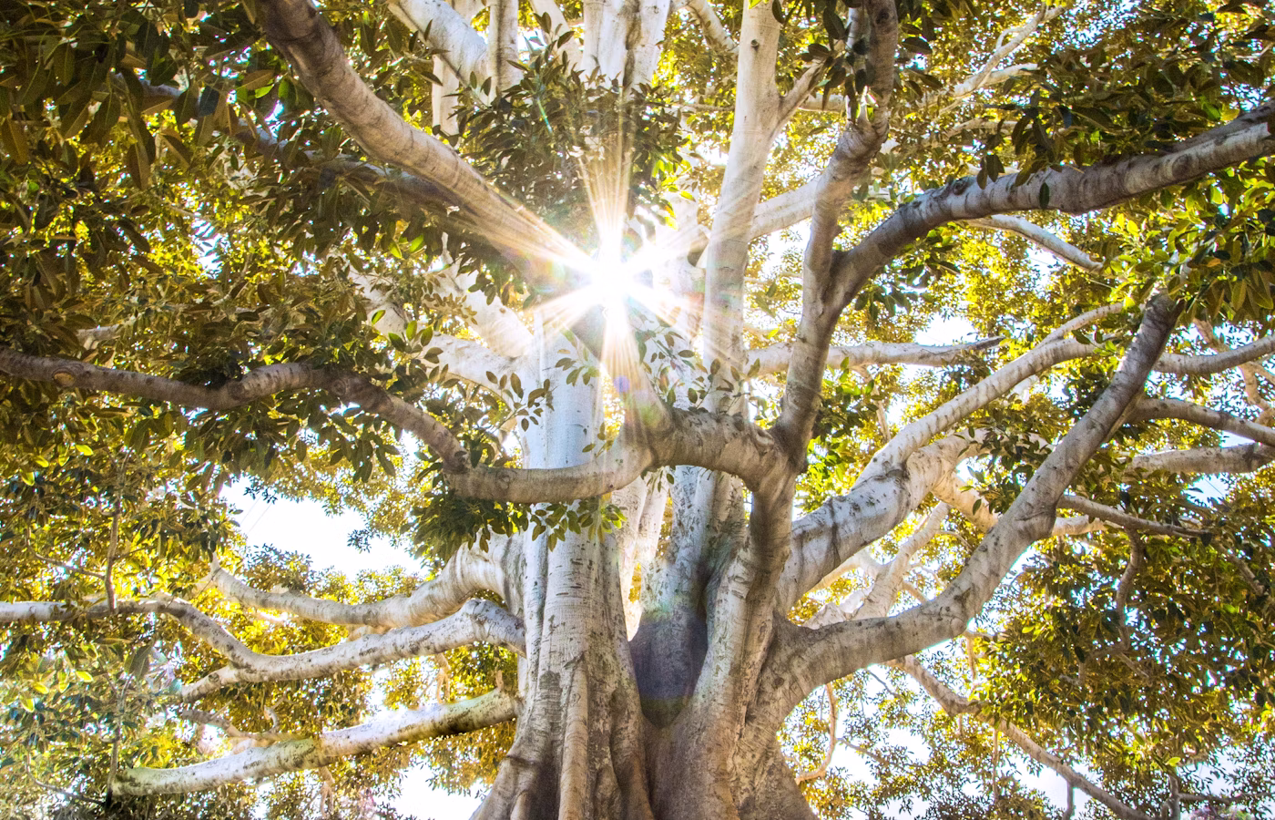 Управление состоянием для родителя